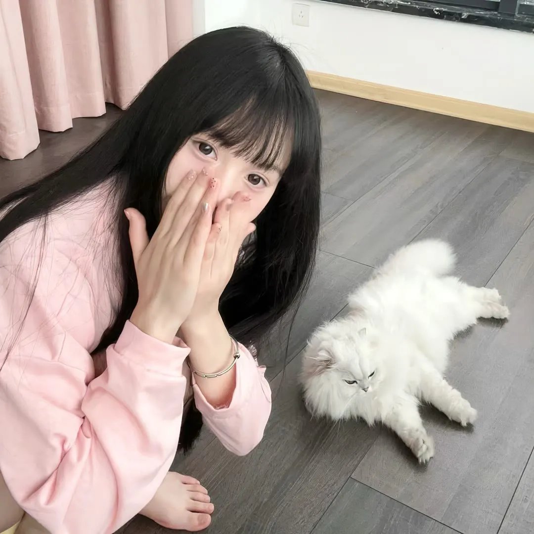 活动写真